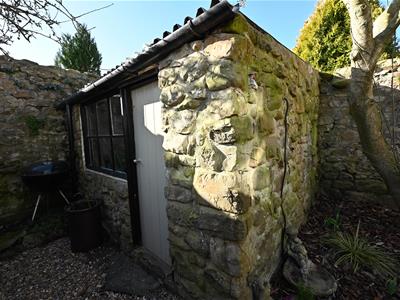 Picture 16